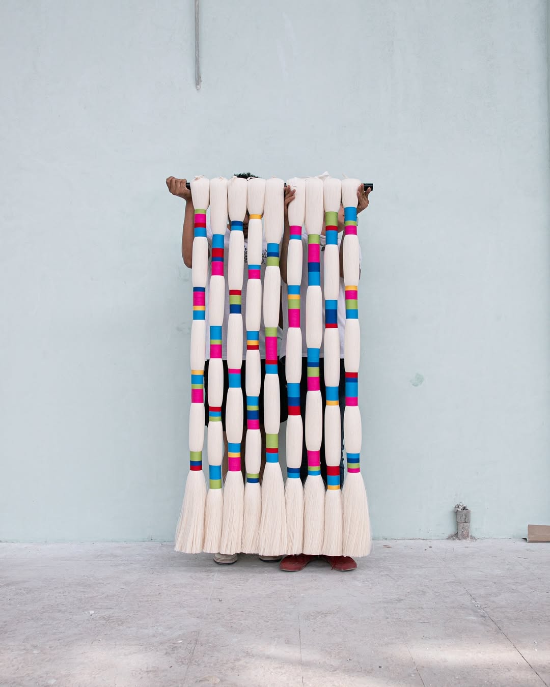 Llama Terrenal  Mexican Wall Hanging / Luxury inspriton / Wall Decor / Macrame Wall Hanging / Caralarg Decor