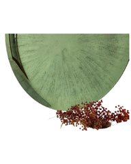 Concave Green Tinted Round Mirror